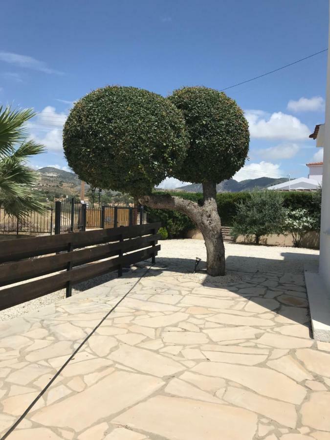 Lilly Villa Pegeia Eksteriør billede